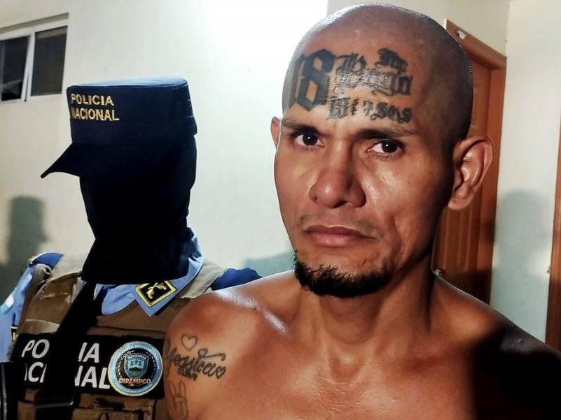 Declaran terroristas a la MS-13, Pandilla 18 y Cartel del Diablo: Los duros castigos para sus miembros