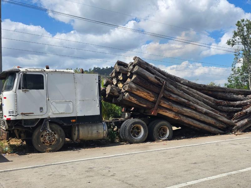 Industria de la madera en Honduras sobrevive entre incendios, tala ilegal y gorgojos