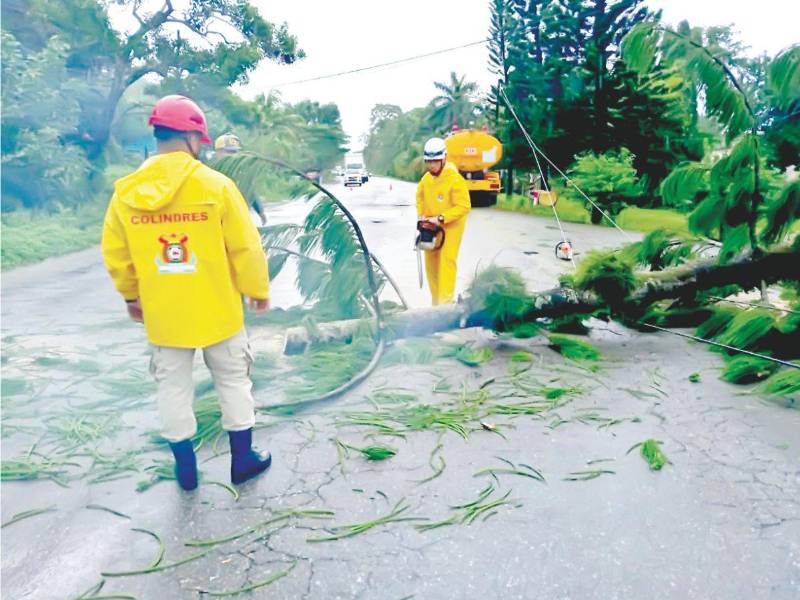 Las cifras generales de la afectación ascienden a 5,679 familias, compuestas por 28,395 personas de toda Atlántida.