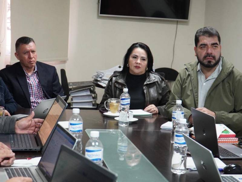 Los comisionados del IAIP, Hermes Moncada, Lucy Ondina Hernández y Miguel Ángel Berrios tienen la tarea de vigilar que los entes obligados entreguen la información pública a los peticionarios.