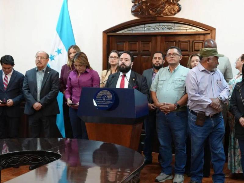 Los 14 imputados son señalados por 21 delitos, entre ellos, perturbación ilícita contra el funcionamiento de las instituciones, violación de los deberes de los funcionarios, usurpación de funciones y falsedad en documentos públicos.