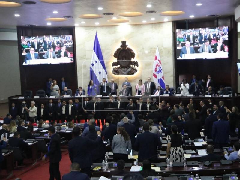 La iniciativa contó con un dictamen favorable de la Comisión Especial del Congreso y el visto bueno unánime de la Corte Suprema de Justicia (<b>CSJ</b>).