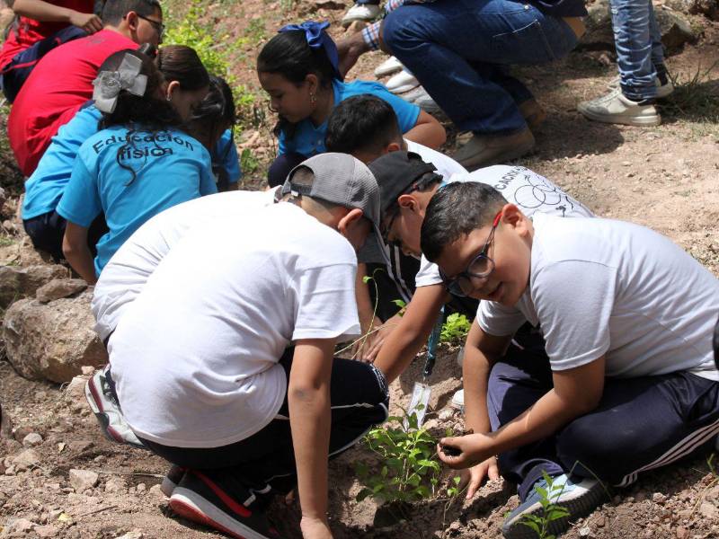 Los escolares de los cinco centros educativos cavaron agujeros y plantaron los árboles en el emblemático pulmón de la capital.