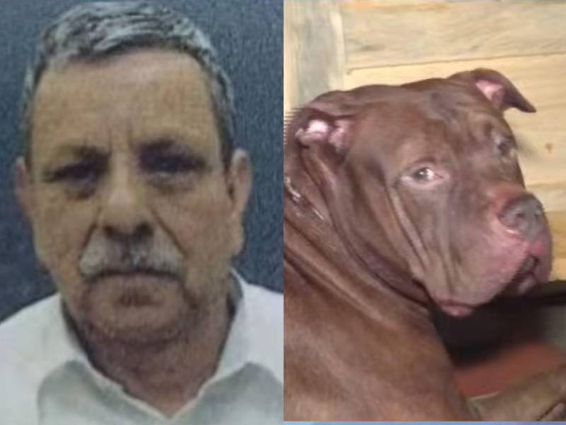Una tragedia ocurrió en el sector 4 de la colonia Hato de Enmedio, en Tegucigalpa, Distrito Central, cuando un perro de raza pitbull mató a su dueño y dejó herido a su hijo dentro de su propia vivienda.