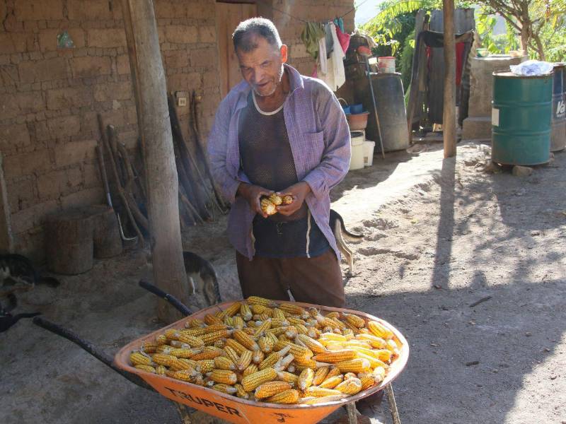 Expertos recomiendan llevar asistencia alimentaria a las comunidades más afectadas.