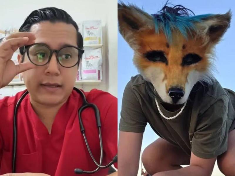 Los “Therian” se han popularizado en las plataformas digitales, ya que se trata de personas que se identifican como animales. Aquí le contamos la experiencia que tuvo un veterinario al atender a un paciente con esta identificación.