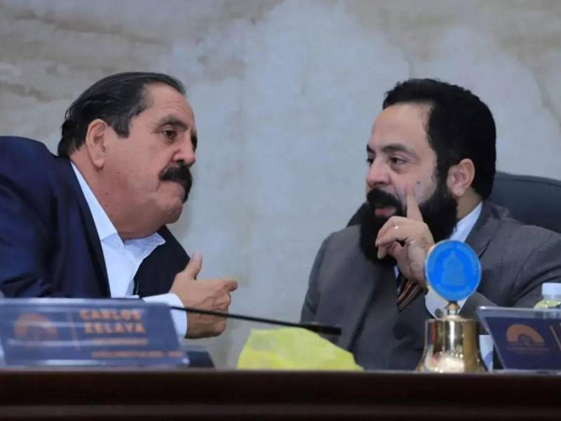 Luis Redondo fue presidente del Poder Legislativo y Carlos Zelaya el secretario.