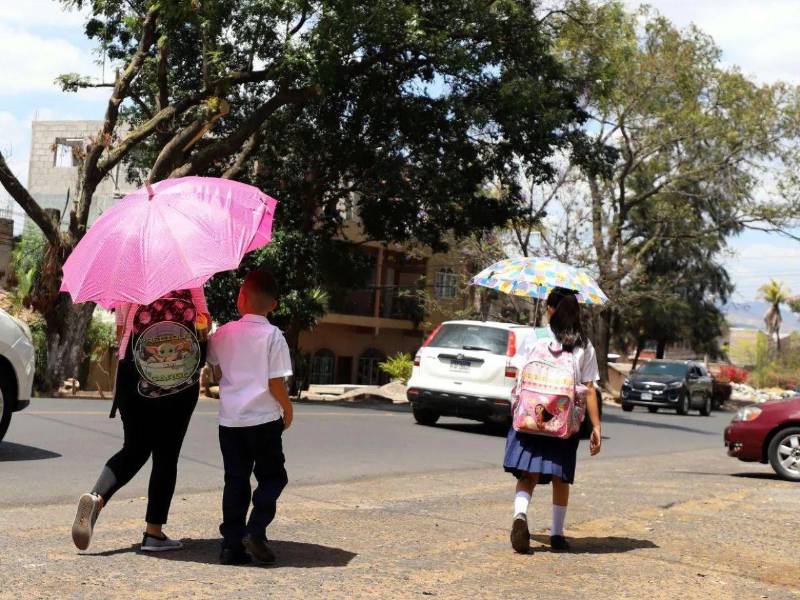 Esta semana los estudiantes de los centros educativos públicos recibirán clases virtuales por el intenso calor.