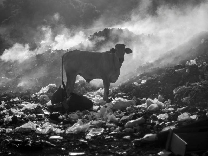 “Tinieblas de la ausencia”, es la fotografía que además ilustra el catálogo de la muestra.