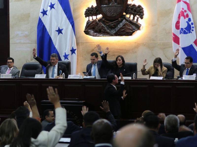 Las bancadas del Congreso Nacional deberán tener la voluntad política para apoyar las reformas electorales.