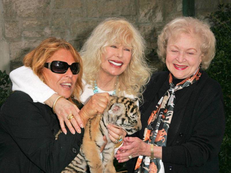 Swit también destacó por su trabajo como activista en favor de los derechos de los animales y fundó la organización SwitHeart Animal Alliance para prevenir la crueldad y terminar con el sufrimiento de los animales.