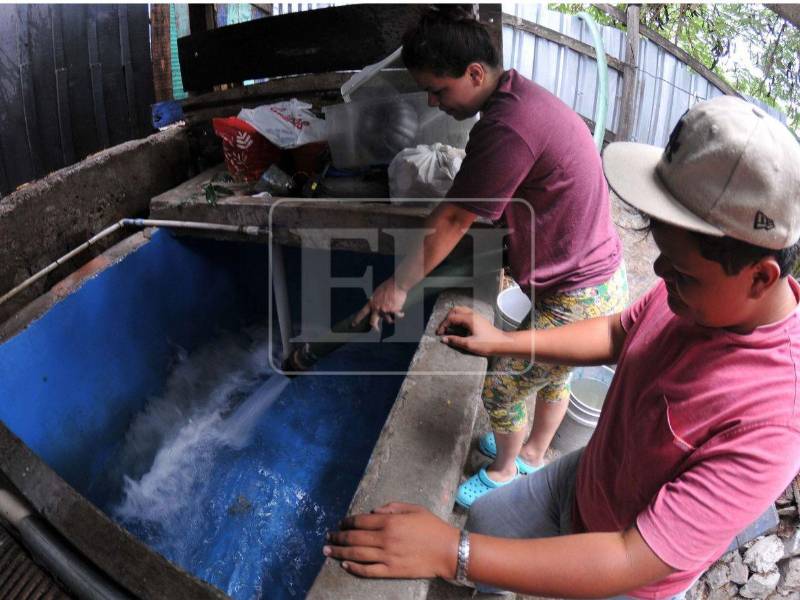 Las pilas estaban secas, casi agrietadas porque el agua en la llave no llegaba hace cinco meses. Cuando Yessenia Aguilar vio que una pipa de la Alcaldía Municipal del Distrito Central (AMDC) llegó a Villa Laureles, abrió la puerta de la vivienda y se paró en medio.