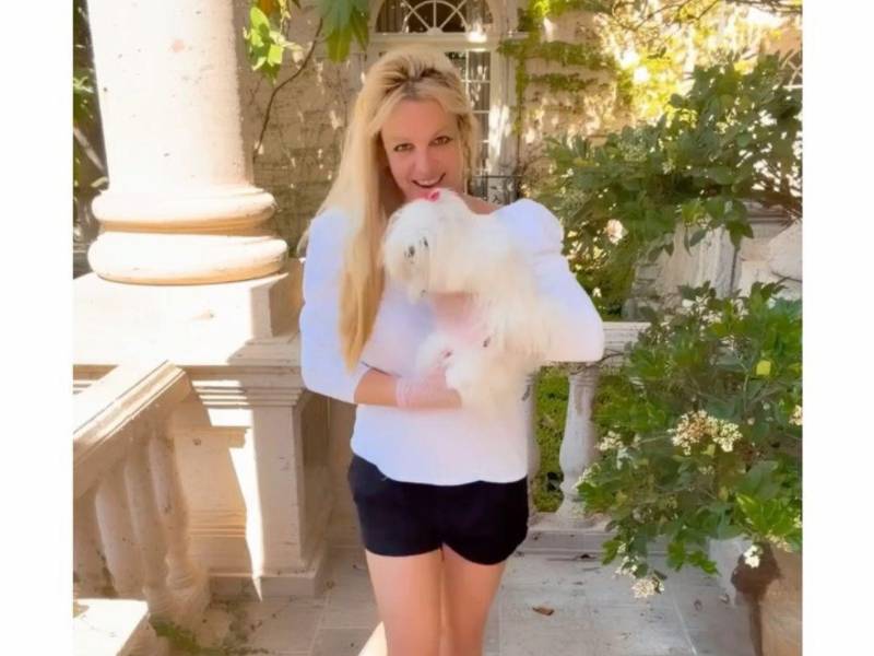 Jayden James Federline, hijo de Britney Spears, se pronunció durante un live en TikTok sobre la teoría viral que asegura que la cantante fue clonada.