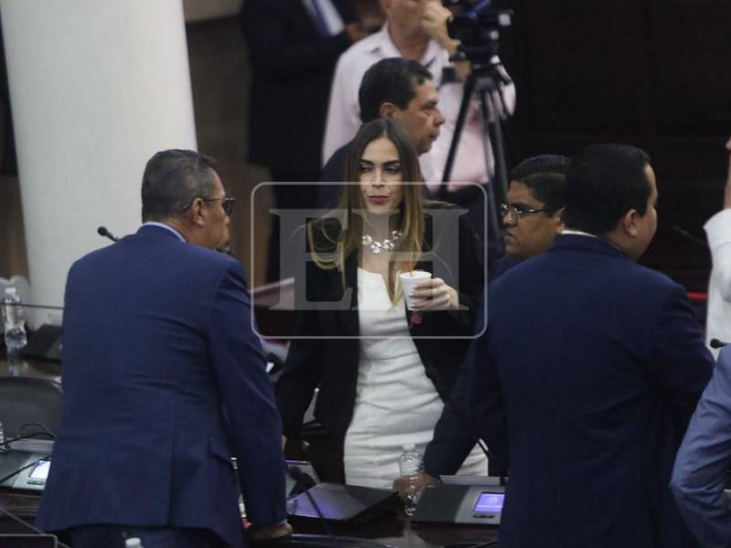 El Congreso Nacional pidió al Partido Liberal presentar con mayor rapidez su contrapropuesta a la reforma eléctrica.