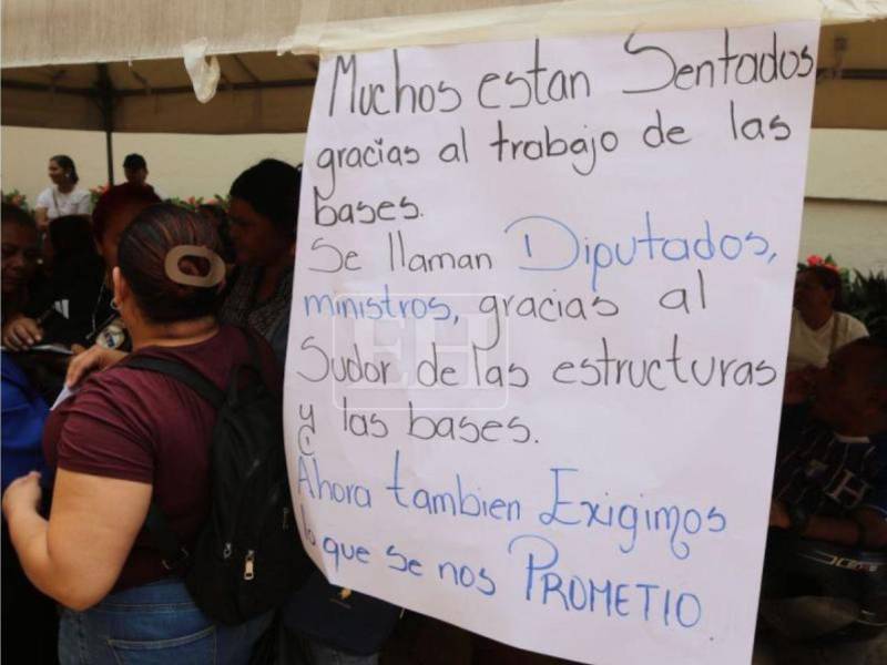 ​Ledezma advirtió sobre el riesgo de presentar un recurso sin los votos necesarios, lo que blindaría a los señalados por el resto de la legislatura.