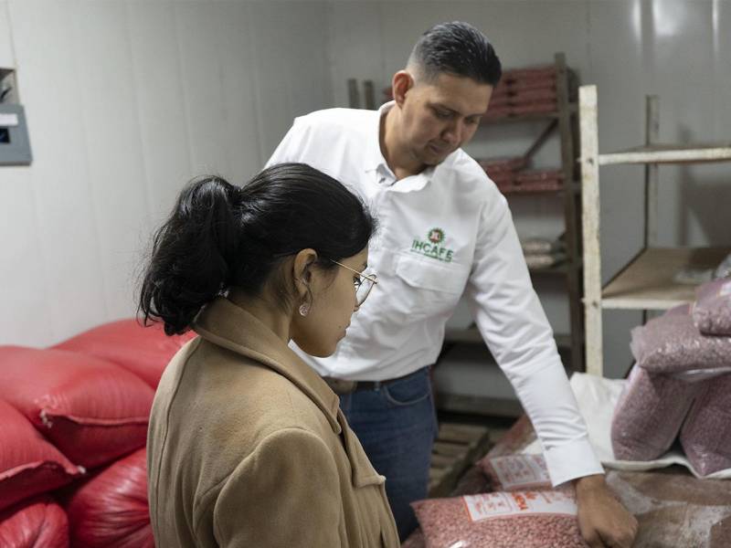 Selección rigurosa: Cada grano pasa por un proceso de clasificación para asegurar su calidad y potencial productivo.
