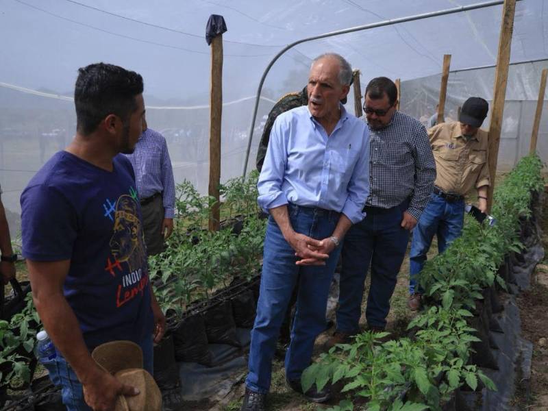 El presidente Nasry Asfura aseguró que seguirán apostando al productor.