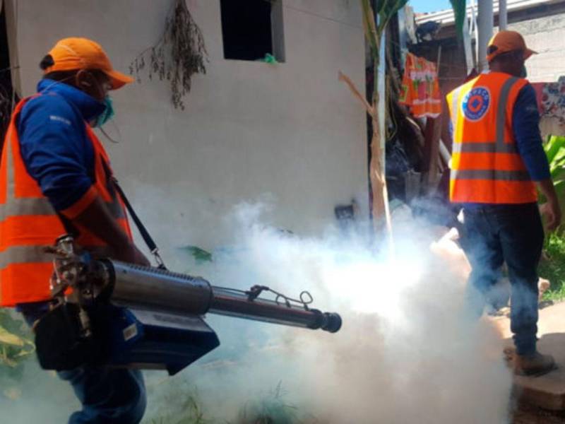 Las jornadas de fumigación se desarrollan en conjunto a Copeco, la Región Metropolitana de Salud y Centros Integrales de Salud de cada colonia en la capital.