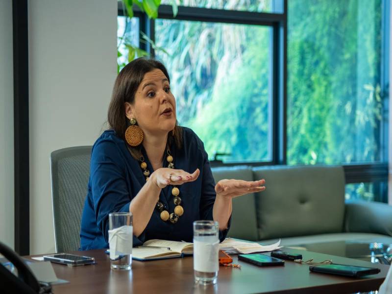 Desde el 1 al 15 de julio próximo un equipo de Sciarra arribará al país para evacuar inquietudes del gobierno, anunció la especialista del PNUD a D&amp;N.