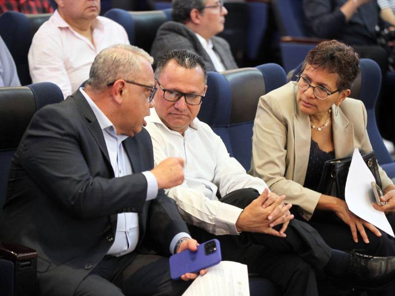 La distinción de los profesionales fue antecedida por la conferencia virtual Cómo usar la IA para hacer contracorriente en periodismo, impartida por la doctora argentina Cintia Díaz.