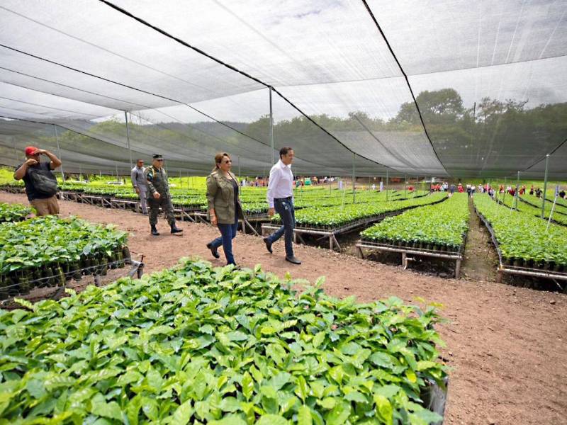 La presidenta hondureña recorrió el vivero junto a su secretario privado el día de la inauguración.