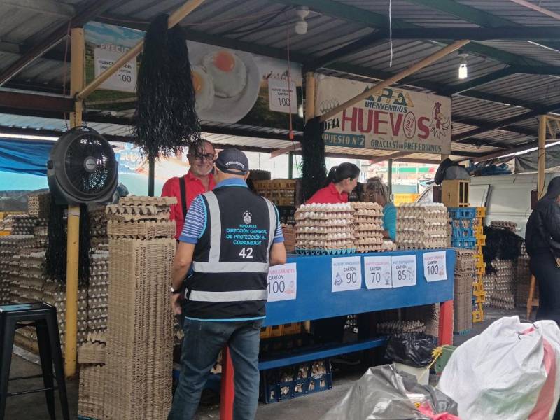 Honduras exporta huevo a países vecinos mientras mantiene el precio más bajo de la región, gracias a la sobreproducción del producto.