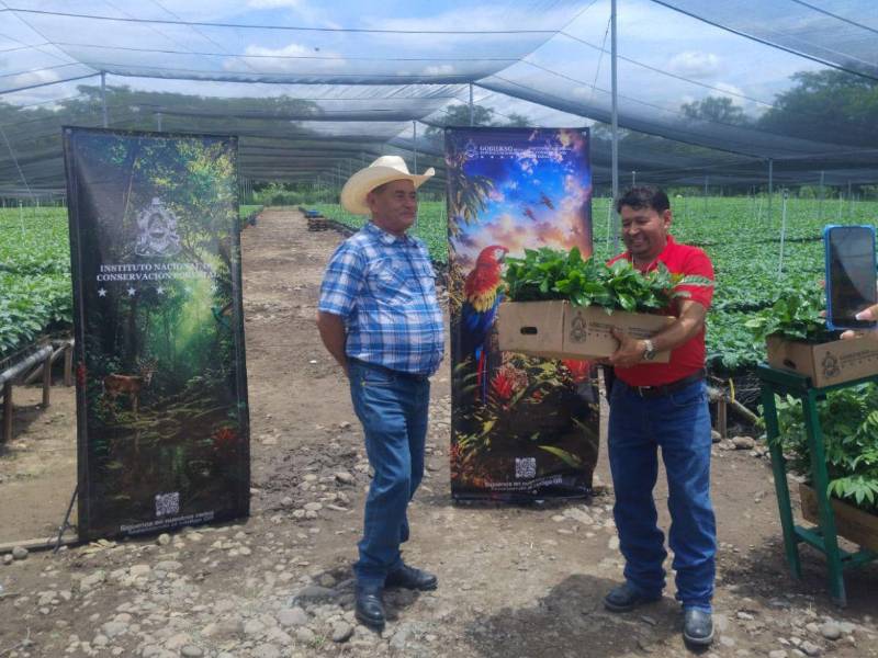 Por falta de pago del gobierno se quedan sin empleo 1,000 personas en proyecto ambiental