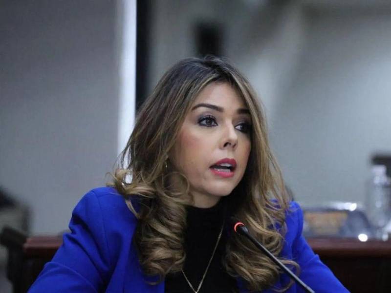 Mejía es la designada presidencial para el período 2026-2030.