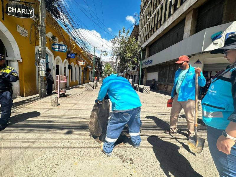 Las cuadrillas de la UMAPS se desplegarán por diferentes puntos del Paseo Liquidámbar.
