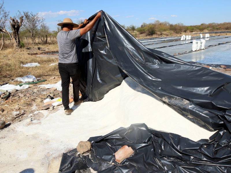 Algunos productores como José Armando Núñez, le han apostado a la sal, para sobrevivir a la crisis.