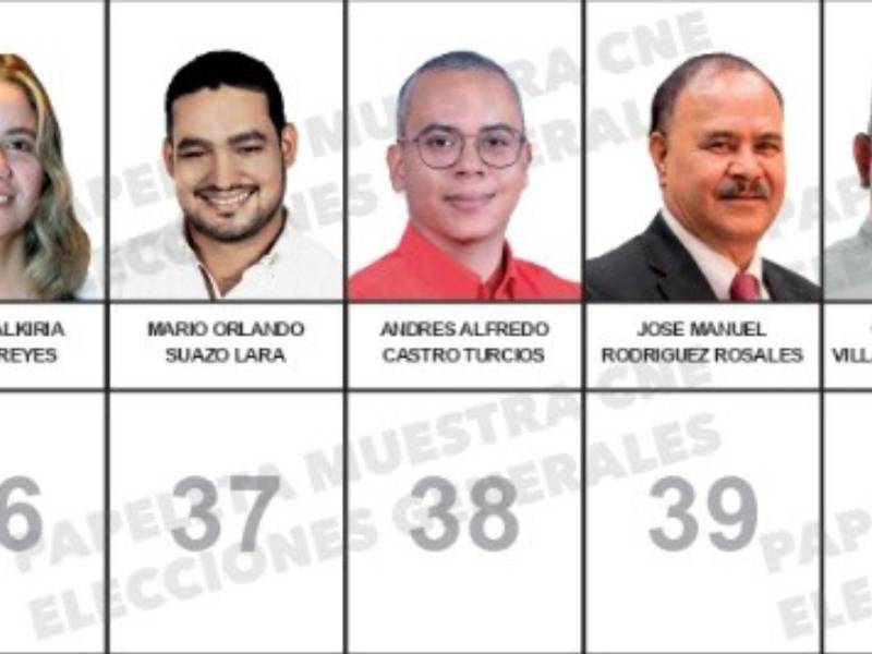 Captura de pantalla a la planilla de candidatos a diputados por Francisco Morazán del partido Libre.