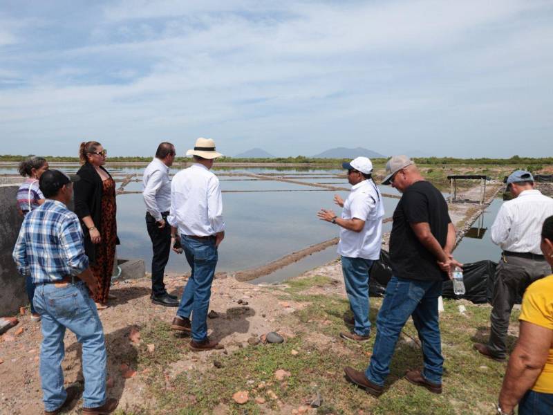 Por primera vez en la historia, los productores de sal de la zona sur del país son beneficiados con apoyo económico por parte del gobierno para impulsar y mejorar este rubro.