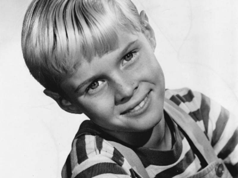 North comenzó a realizar el papel de Daniel el Travieso a los 6 años.