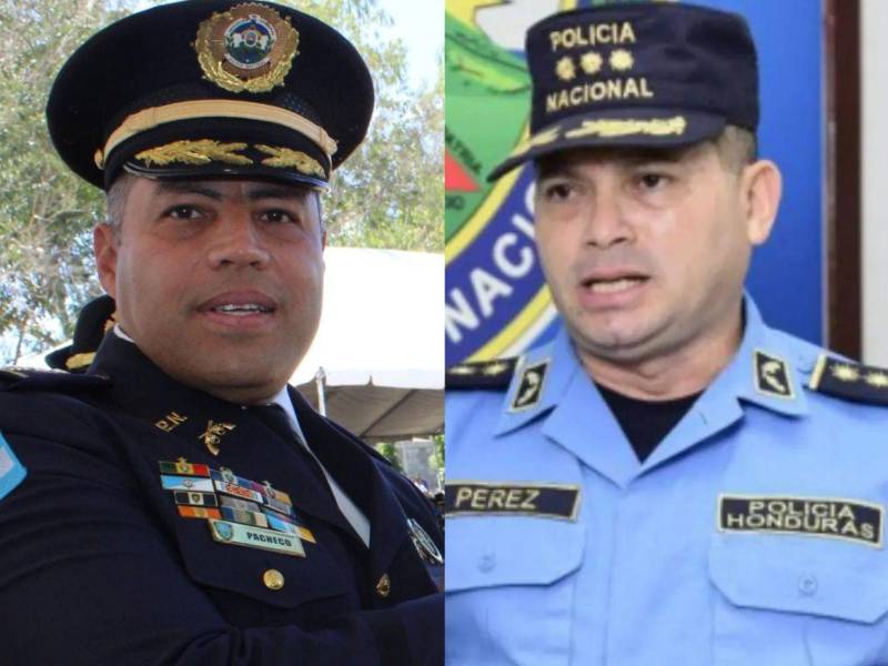 El ministro enfatizó que el nombramiento es temporal por lo que será el presidente de la República, Nasry Juan Asfura, el que hará el nombramiento definitivo