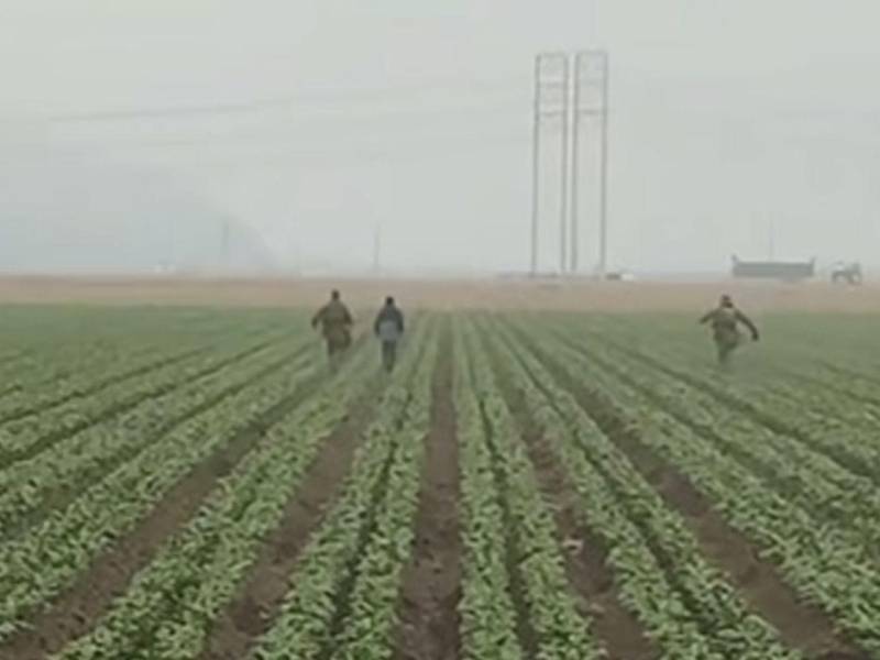 Los migrantes salieron corriendo del lugar cuando vieron las patrullas de ICE.