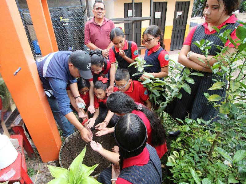 Primeras semillas de hortalizas son plantadas por todos los integrantes del Comité Ambiental del CEB Ramón Cálix Figueroa.