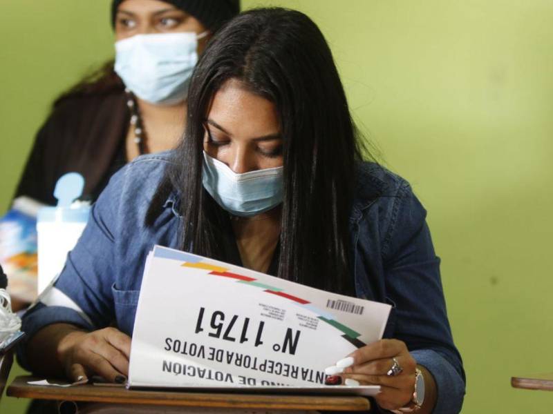 El CNE debe cumplir con el cronograma electoral y buscar las salidas que le permita la ley.