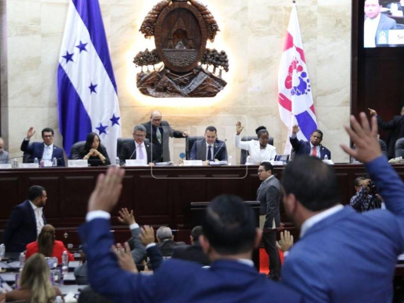 ​El titular de la cámara legislativa destacó las acciones iniciales emprendidas por la Secretaría de Gestión de Riesgos y Contingencias Nacionales (Copeco), la Secretaría de Agricultura y Ganadería (SAG) y la Secretaría de Finanzas para llevar asistencia alimentaria a los hogares afectados.