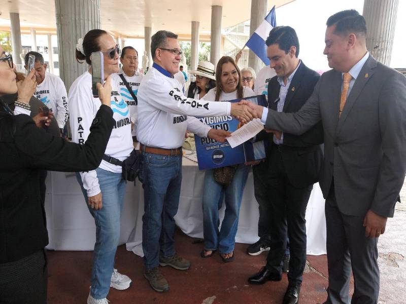 Ondeando banderas de Honduras y con pancartas se entregó esta denuncia a diputados del CN.