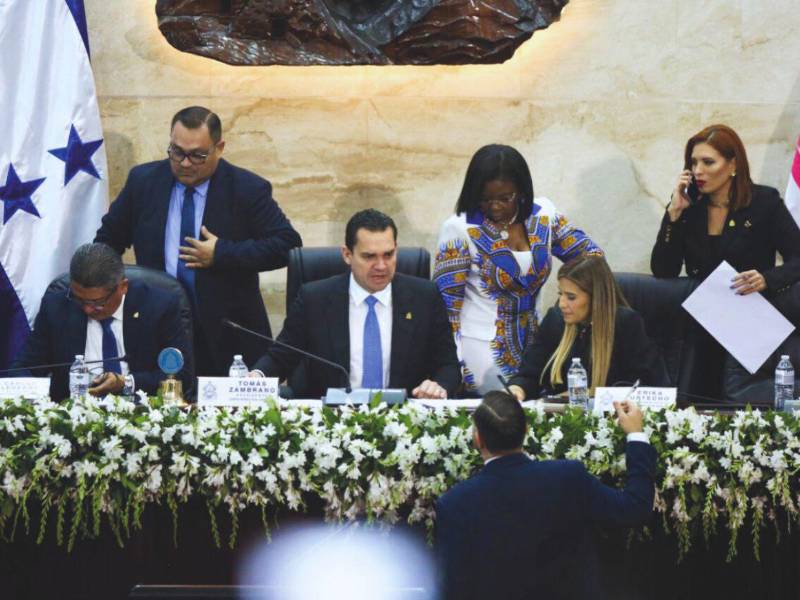 Tras la ceremonia de instalación, el pleno de diputados sesionó y se presentaron proyectos.