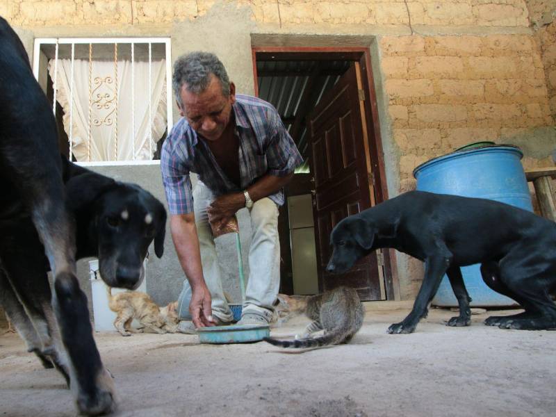 Don Ángel Rivera les dio comida a Guardián y a Capitán junto a los gatitos.