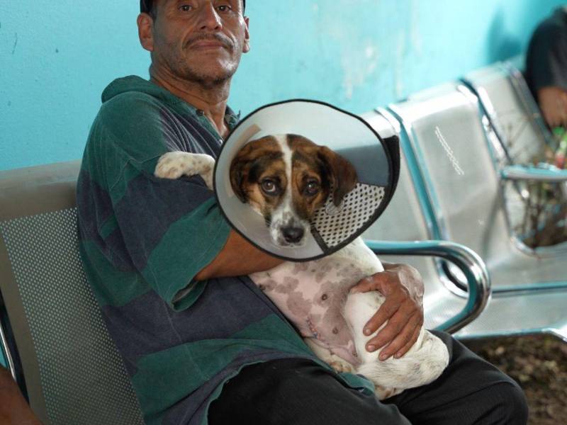 Jornadas de vacunación forman parte del enfoque preventivo del programa.