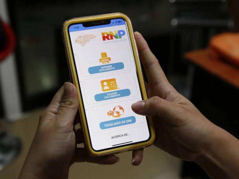 Los padres deberán verificar que la información, como los nombres, la fecha de nacimiento, la edad y el número de identificación, sean correctos