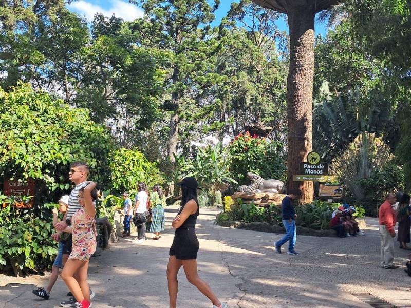 El lugar es visitado por nacionales y extranjeros. Está en el centro de la ciudad, muy cerca del aeropuerto de Ciudad de Guatemala.