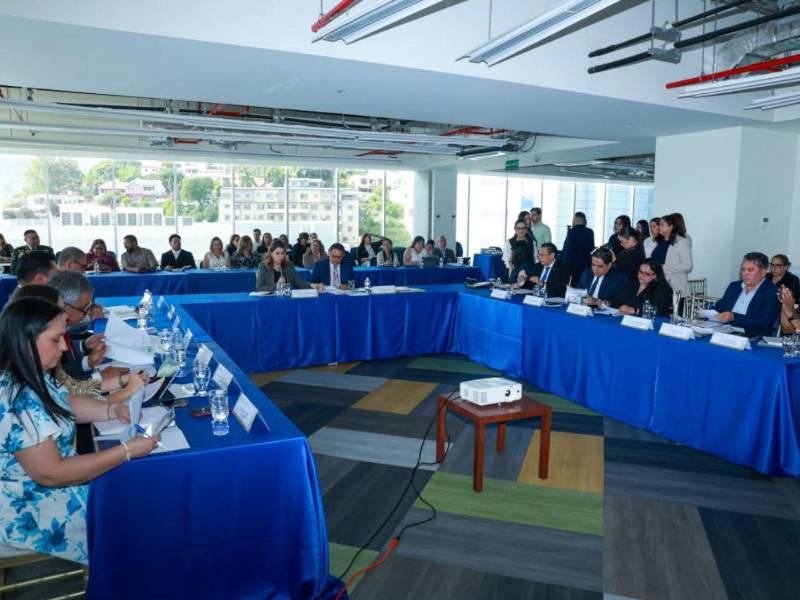 La ministra de Educación destacó avances del Gobierno en materia educativa, como la entrega de textos escolares y guías de trabajo en los centros educativos del país.