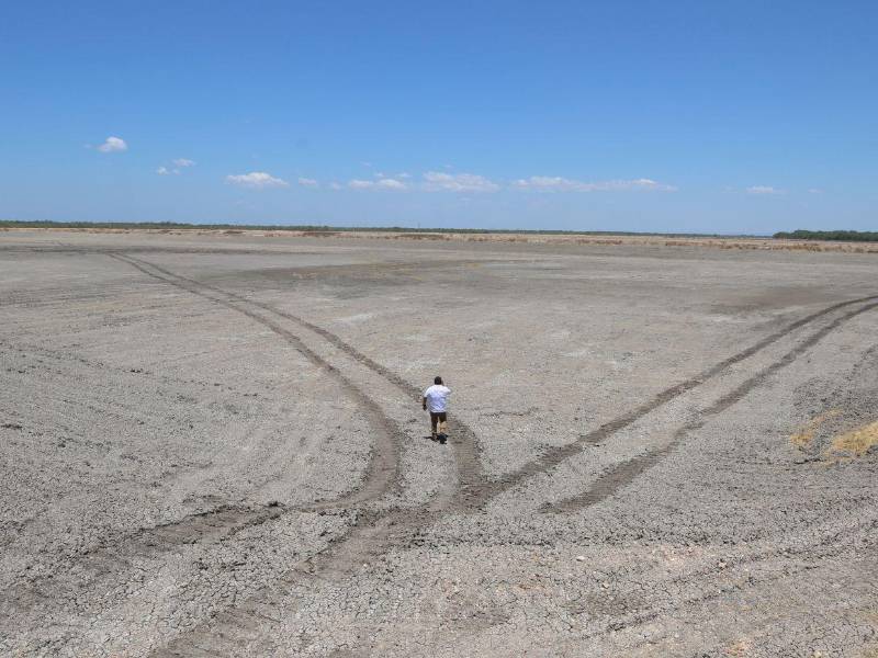Cientos de fincas camaroneras han dejado de producir por la falta de mercado internacional y permanecen desocupadas.