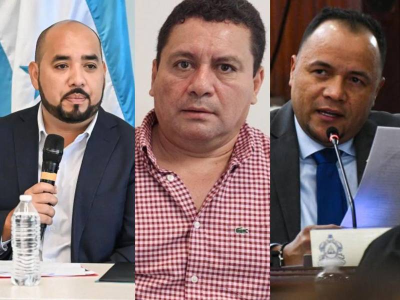 El exministro de Educación, Daniel Esponda; el presidente del Prichpma, Yuri Hernández; y el actual diputado de Libre, Ever Nazael Aguilar, fueron algunos de los beneficiados con asistencias técnicas.