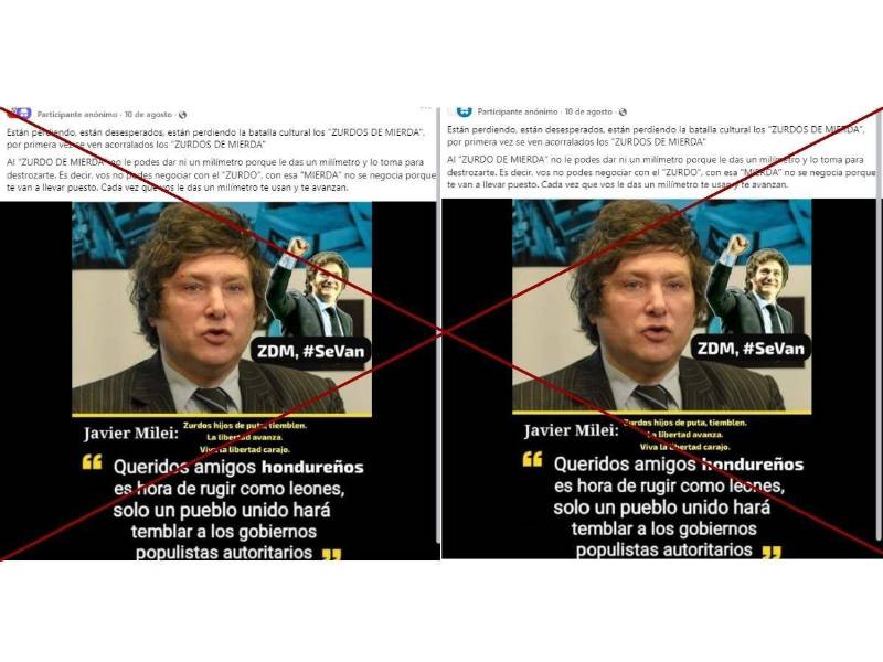 Capturas de pantalla del contenido difundido en otros perfiles de Facebook.