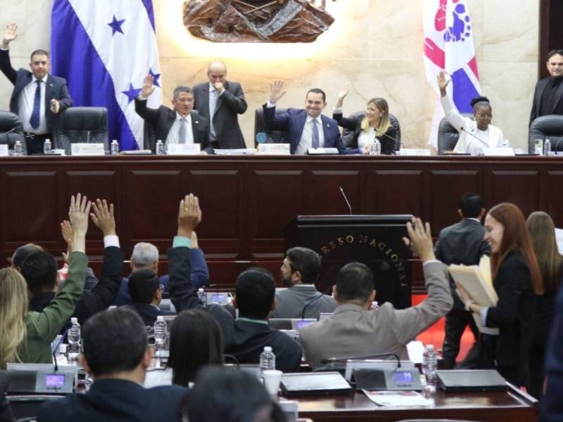 Los diputados deberán someter a discusión y votación el nuevo dictamen.