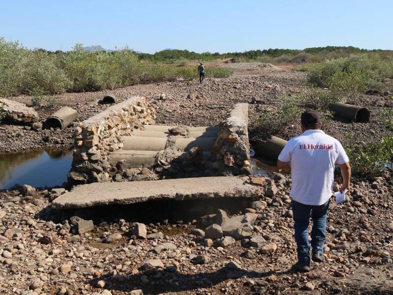 Hay fincas completamente destruidas y familias afectadas en el sur de Honduras.